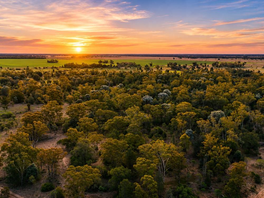 296 Forest Way, WEE WAA, NSW 2388 AUS