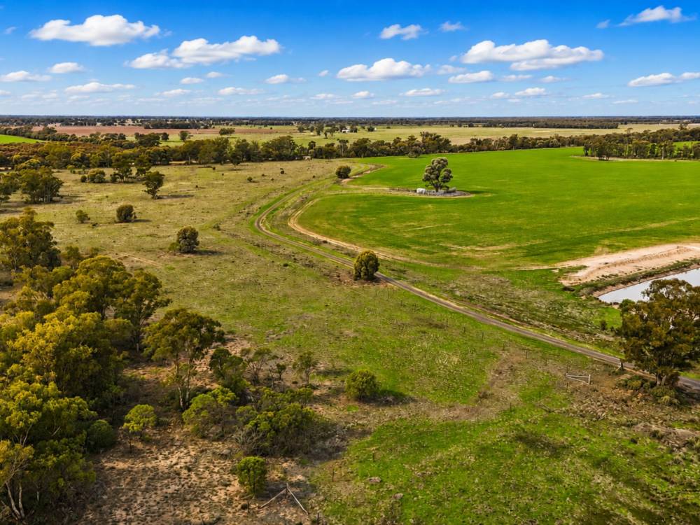 296 Forest Way, WEE WAA, NSW 2388 AUS