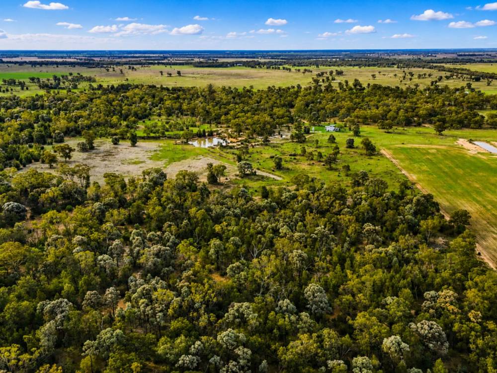 296 Forest Way, WEE WAA, NSW 2388 AUS