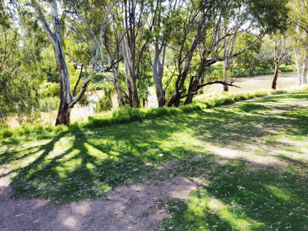 209 Maitland Street, NARRABRI, NSW 2390 AUS