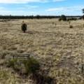 51 Highfield Lane, NARRABRI, NSW 2390 AUS