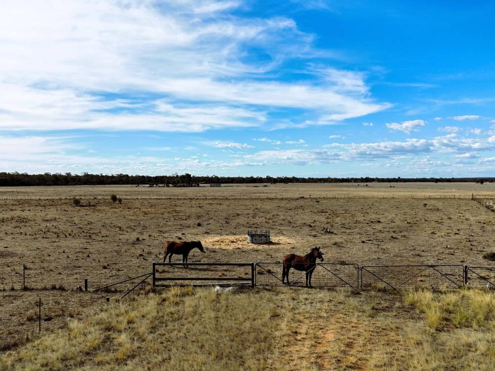 89 Highfield Lane, NARRABRI, NSW 2390 AUS