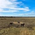 89 Highfield Lane, NARRABRI, NSW 2390 AUS