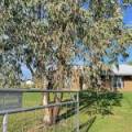 115 Mckenzie Street, NARRABRI, NSW 2390 AUS