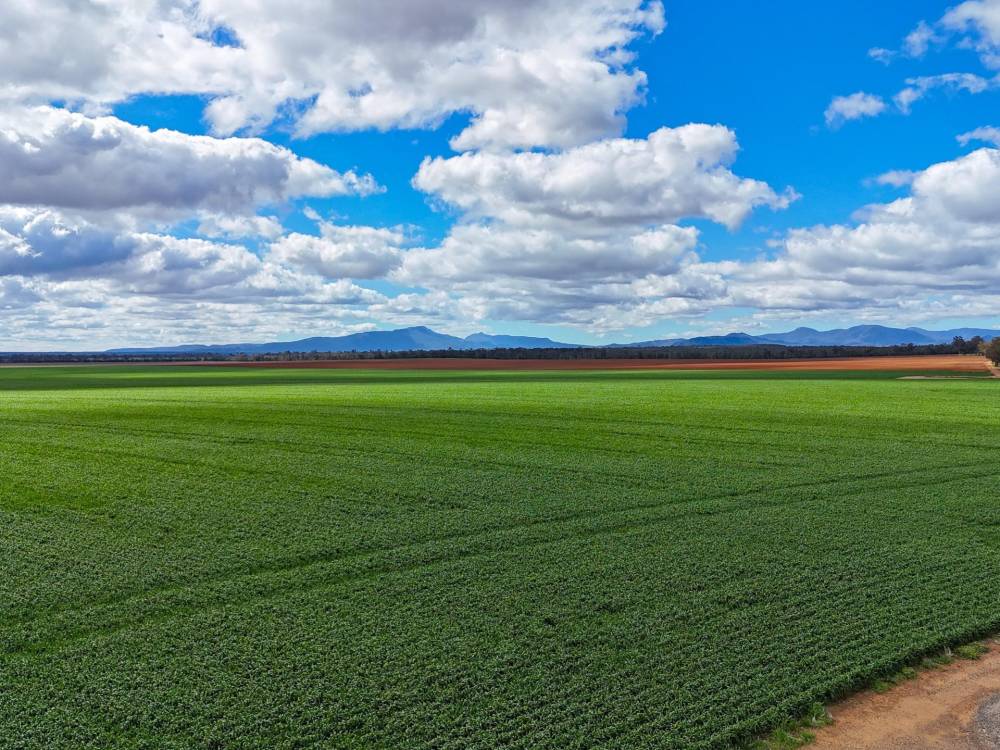 13012 Newell Highway, NARRABRI, NSW 2390 AUS