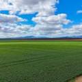 13012 Newell Highway, NARRABRI, NSW 2390 AUS