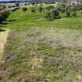 27 Grantham Street, BOGGABRI, NSW 2382 AUS