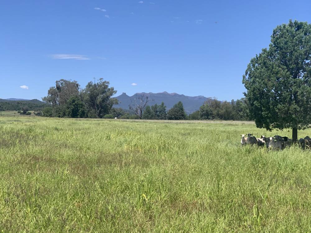10 1459 Kaputar Road, BULLAWA CREEK, NSW 2390 AUS