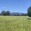 10 1459 Kaputar Road, BULLAWA CREEK, NSW 2390 AUS