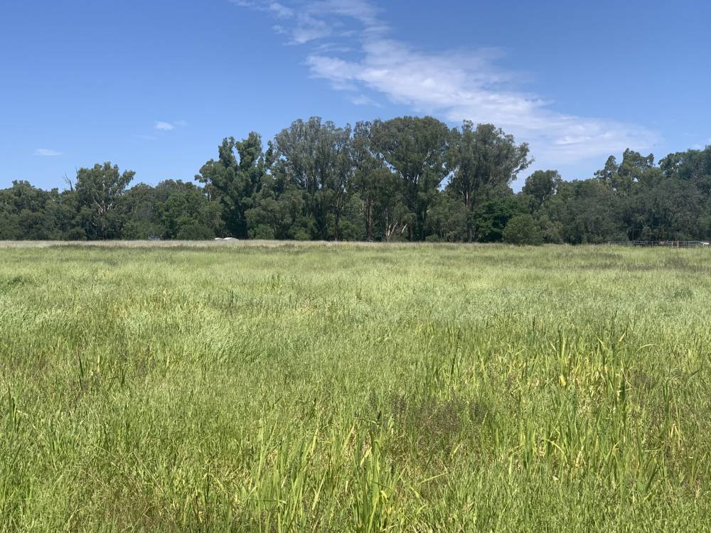 10 1459 Kaputar Road, BULLAWA CREEK, NSW 2390 AUS
