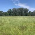 10 1459 Kaputar Road, BULLAWA CREEK, NSW 2390 AUS