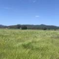10 1459 Kaputar Road, BULLAWA CREEK, NSW 2390 AUS