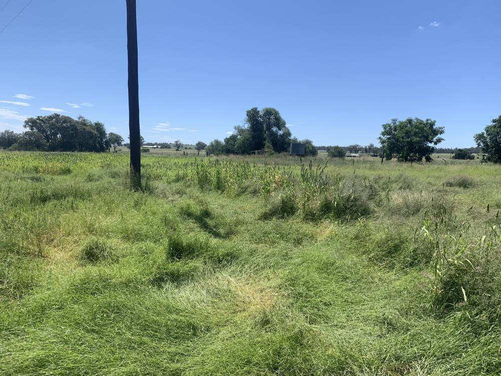 10 1459 Kaputar Road, BULLAWA CREEK, NSW 2390 AUS