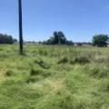 10 1459 Kaputar Road, BULLAWA CREEK, NSW 2390 AUS