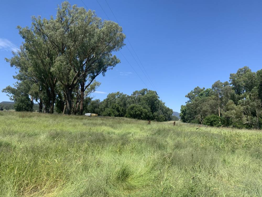 10 1459 Kaputar Road, BULLAWA CREEK, NSW 2390 AUS