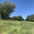 10 1459 Kaputar Road, BULLAWA CREEK, NSW 2390 AUS