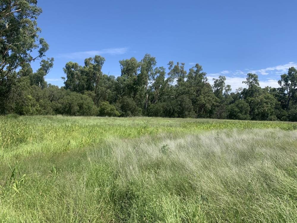 10 1459 Kaputar Road, BULLAWA CREEK, NSW 2390 AUS