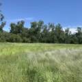 10 1459 Kaputar Road, BULLAWA CREEK, NSW 2390 AUS