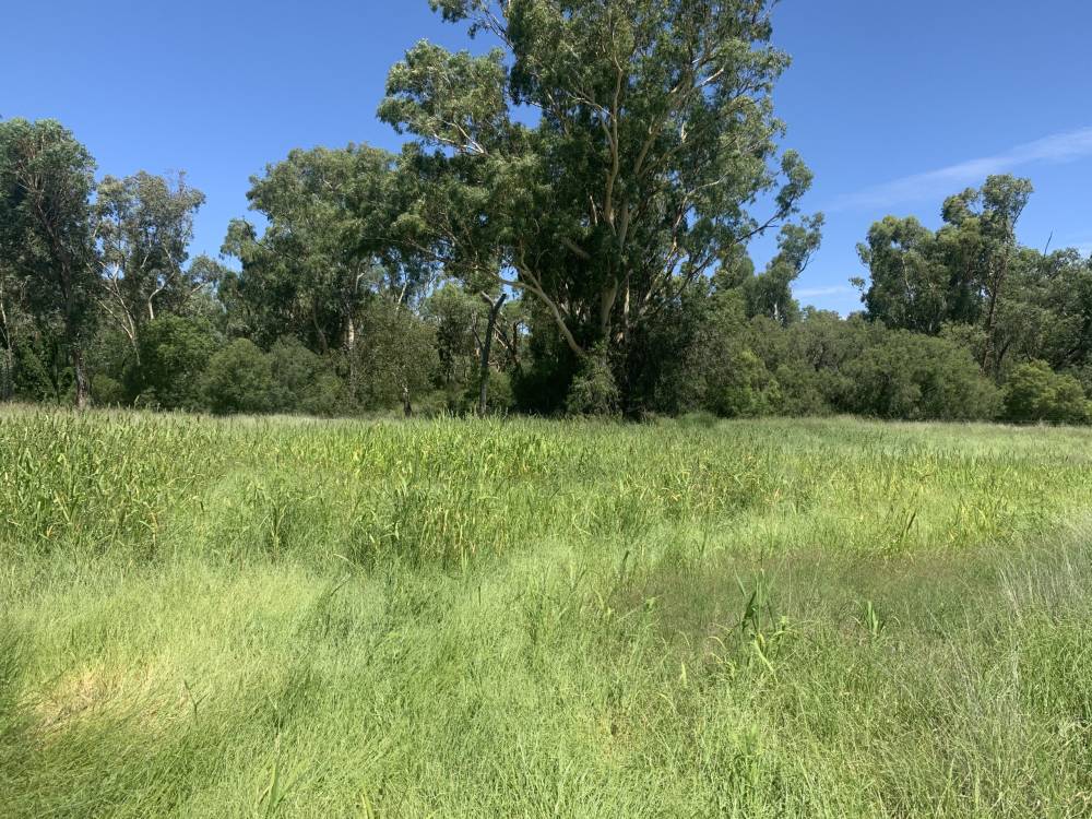 10 1459 Kaputar Road, BULLAWA CREEK, NSW 2390 AUS