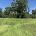 10 1459 Kaputar Road, BULLAWA CREEK, NSW 2390 AUS