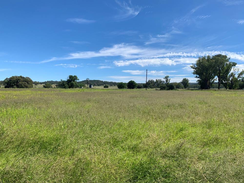10 1459 Kaputar Road, BULLAWA CREEK, NSW 2390 AUS