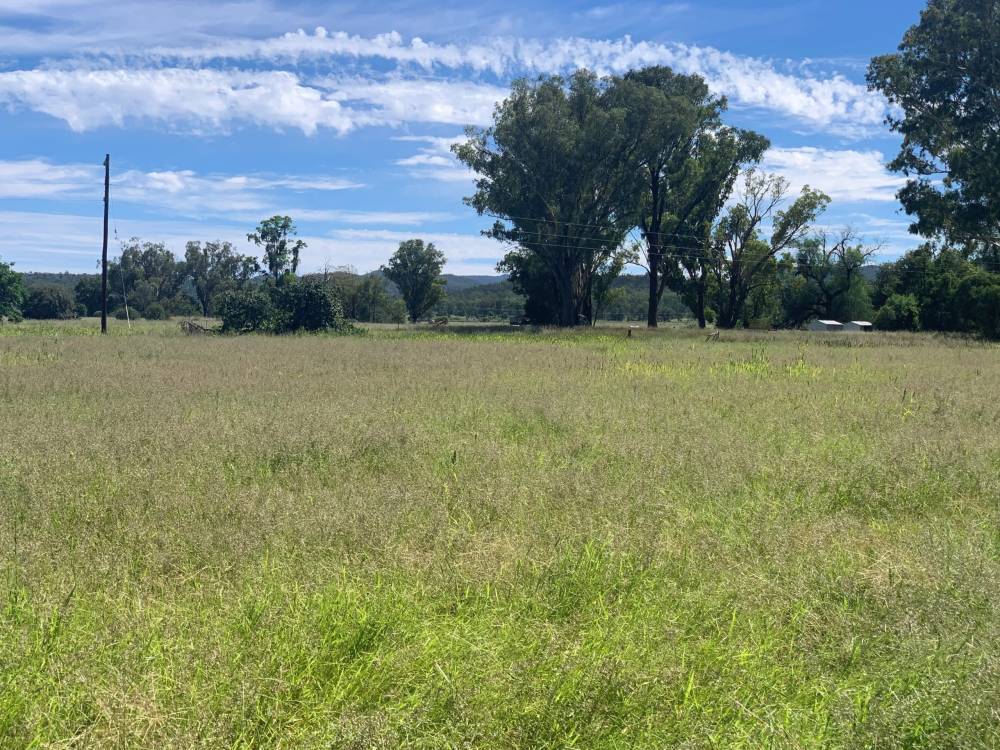 10 1459 Kaputar Road, BULLAWA CREEK, NSW 2390 AUS