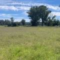 10 1459 Kaputar Road, BULLAWA CREEK, NSW 2390 AUS