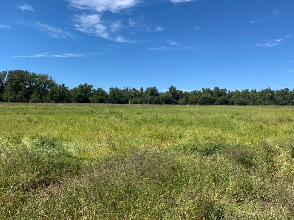 10 1459 Kaputar Road, BULLAWA CREEK, NSW 2390 AUS