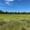 10 1459 Kaputar Road, BULLAWA CREEK, NSW 2390 AUS