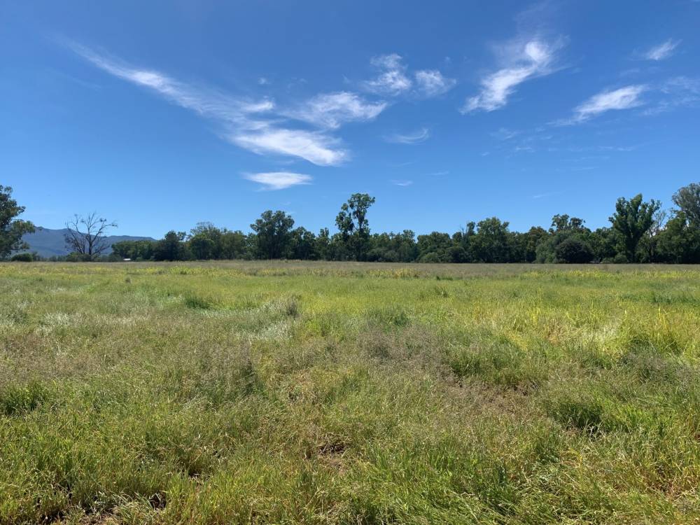 10 1459 Kaputar Road, BULLAWA CREEK, NSW 2390 AUS