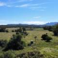 10 1459 Kaputar Road, BULLAWA CREEK, NSW 2390 AUS