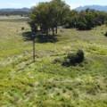 10 1459 Kaputar Road, BULLAWA CREEK, NSW 2390 AUS