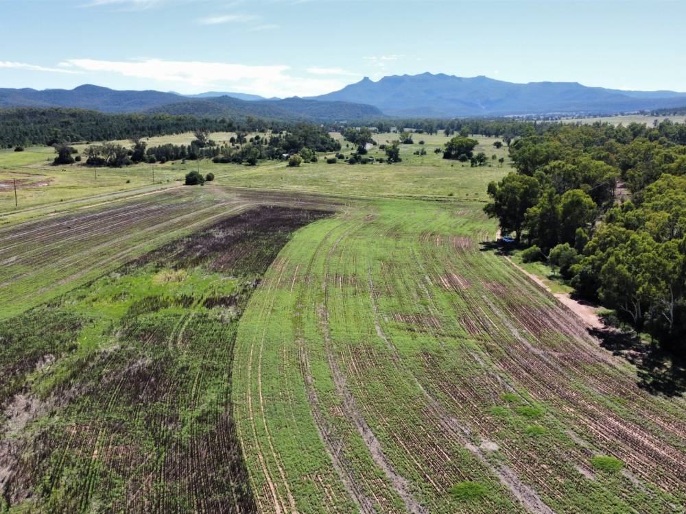 11 1459 Kaputar Road, BULLAWA CREEK, NSW 2390 AUS