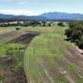 11 1459 Kaputar Road, BULLAWA CREEK, NSW 2390 AUS