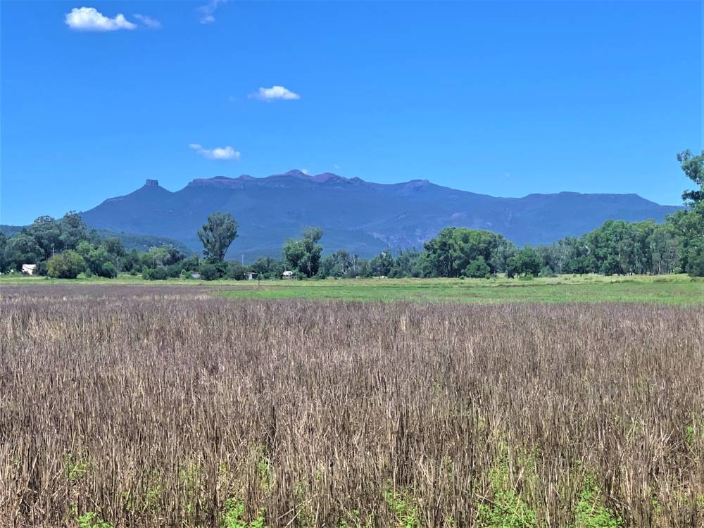 11 1459 Kaputar Road, BULLAWA CREEK, NSW 2390 AUS
