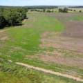 11 1459 Kaputar Road, BULLAWA CREEK, NSW 2390 AUS