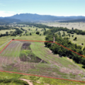 11 1459 Kaputar Road, BULLAWA CREEK, NSW 2390 AUS