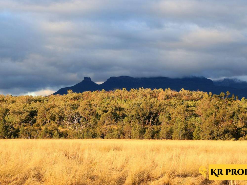 5 1529 Kaputar Road, BULLAWA CREEK, NSW 2390 AUS