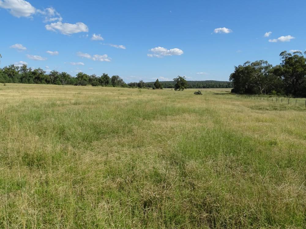 6 1529 Kaputar Road, BULLAWA CREEK, NSW 2390 AUS