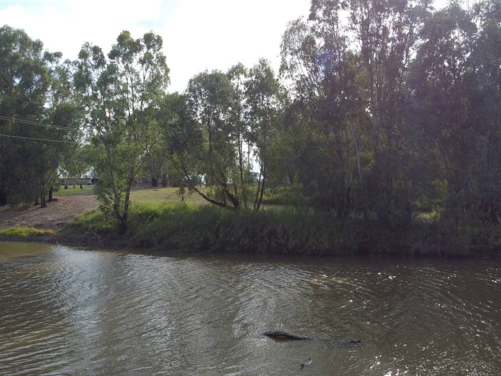 22 Guest Street, NARRABRI, NSW 2390 AUS