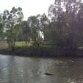 22 Guest Street, NARRABRI, NSW 2390 AUS