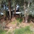 22 Guest Street, NARRABRI, NSW 2390 AUS