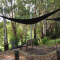 22 Guest Street, NARRABRI, NSW 2390 AUS