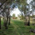 22 Guest Street, NARRABRI, NSW 2390 AUS