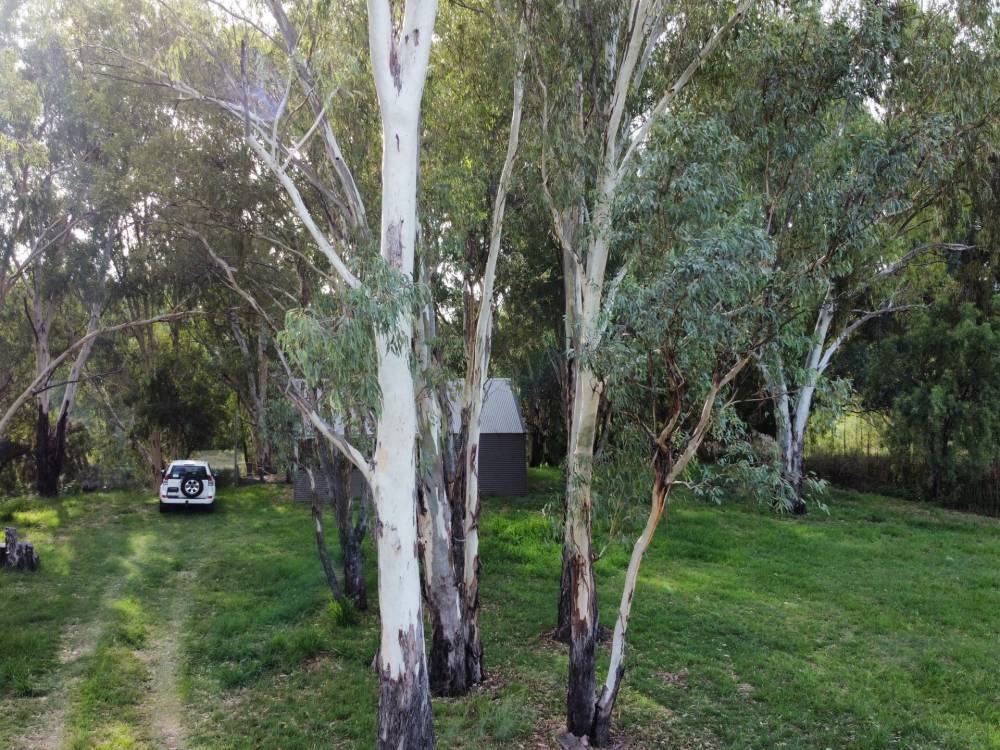 22 Guest Street, NARRABRI, NSW 2390 AUS