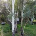 22 Guest Street, NARRABRI, NSW 2390 AUS