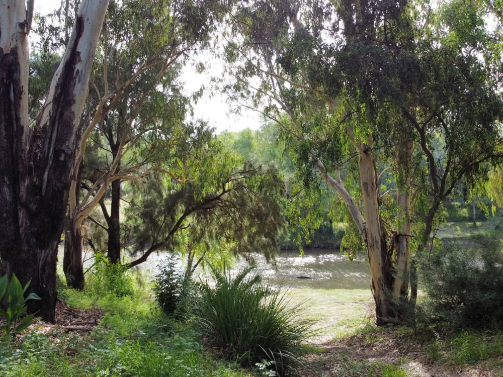 22 Guest Street, NARRABRI, NSW 2390 AUS