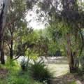 22 Guest Street, NARRABRI, NSW 2390 AUS