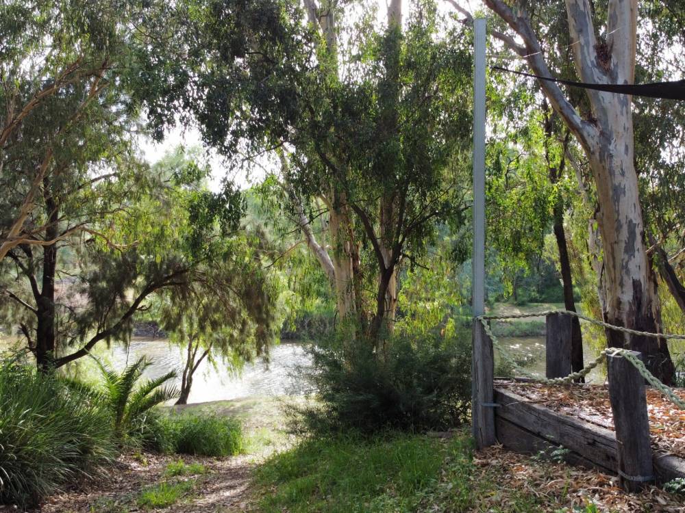 22 Guest Street, NARRABRI, NSW 2390 AUS
