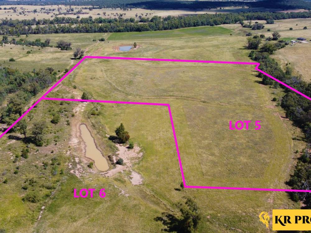 5 1529 Kaputar Road, BULLAWA CREEK, NSW 2390 AUS